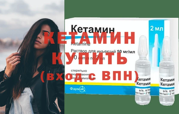 индика Медвежьегорск
