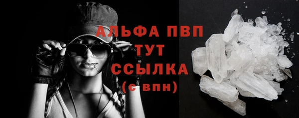 индика Медвежьегорск