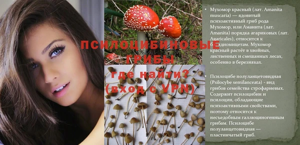 a pvp Мегион