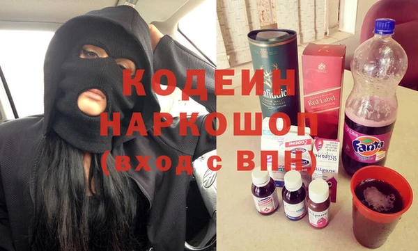 индика Медвежьегорск