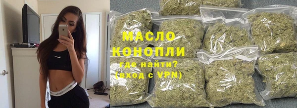 индика Медвежьегорск