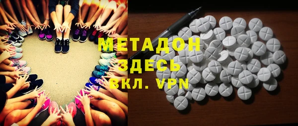индика Медвежьегорск