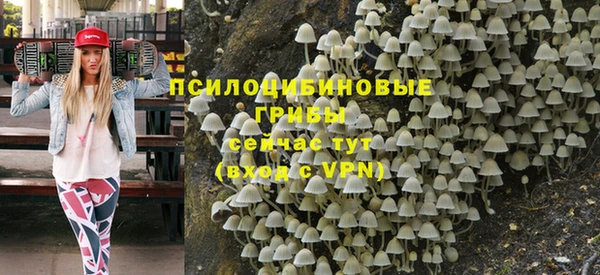 a pvp Мегион