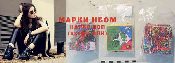 индика Медвежьегорск