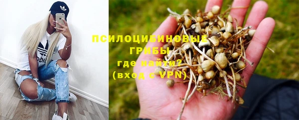 индика Медвежьегорск
