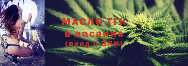 индика Медвежьегорск