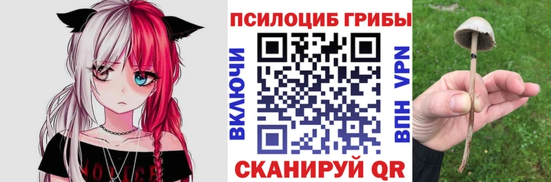 Галлюциногенные грибы GOLDEN TEACHER  Сураж 