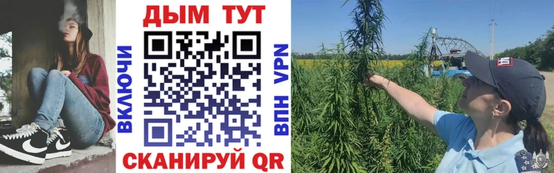 МАРИХУАНА White Widow  где купить наркоту  MEGA вход  Сураж 